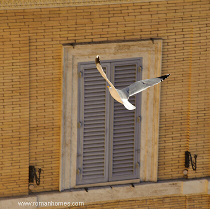 Seagulls of the Spanish Steps and of the penthouse to which they give the name